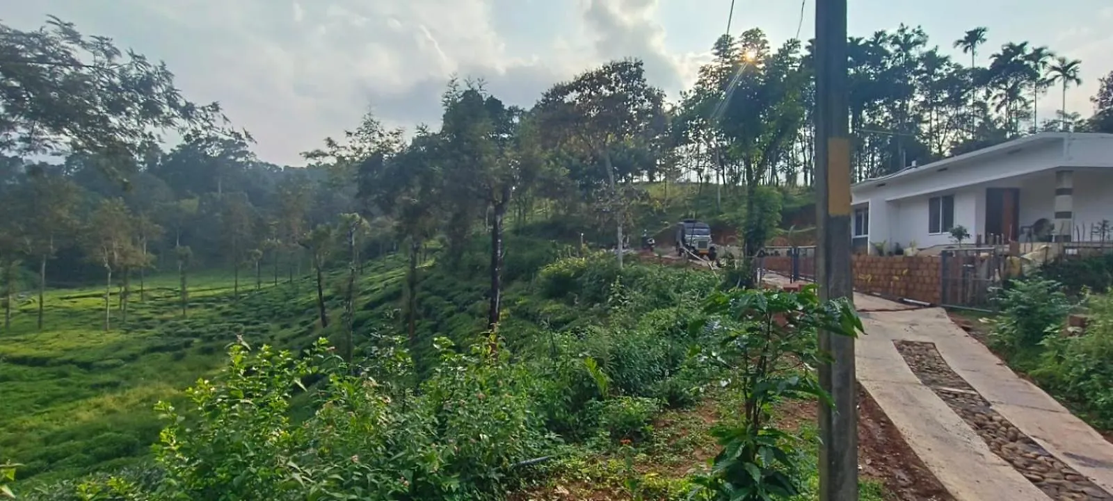 Meppādi Raga Nature