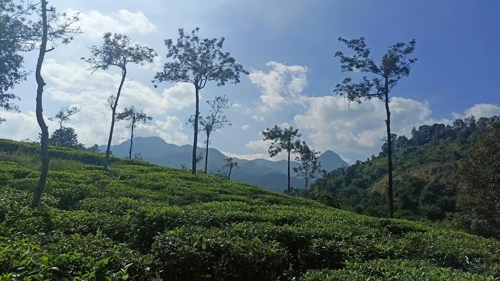 Meppādi Raga Nature