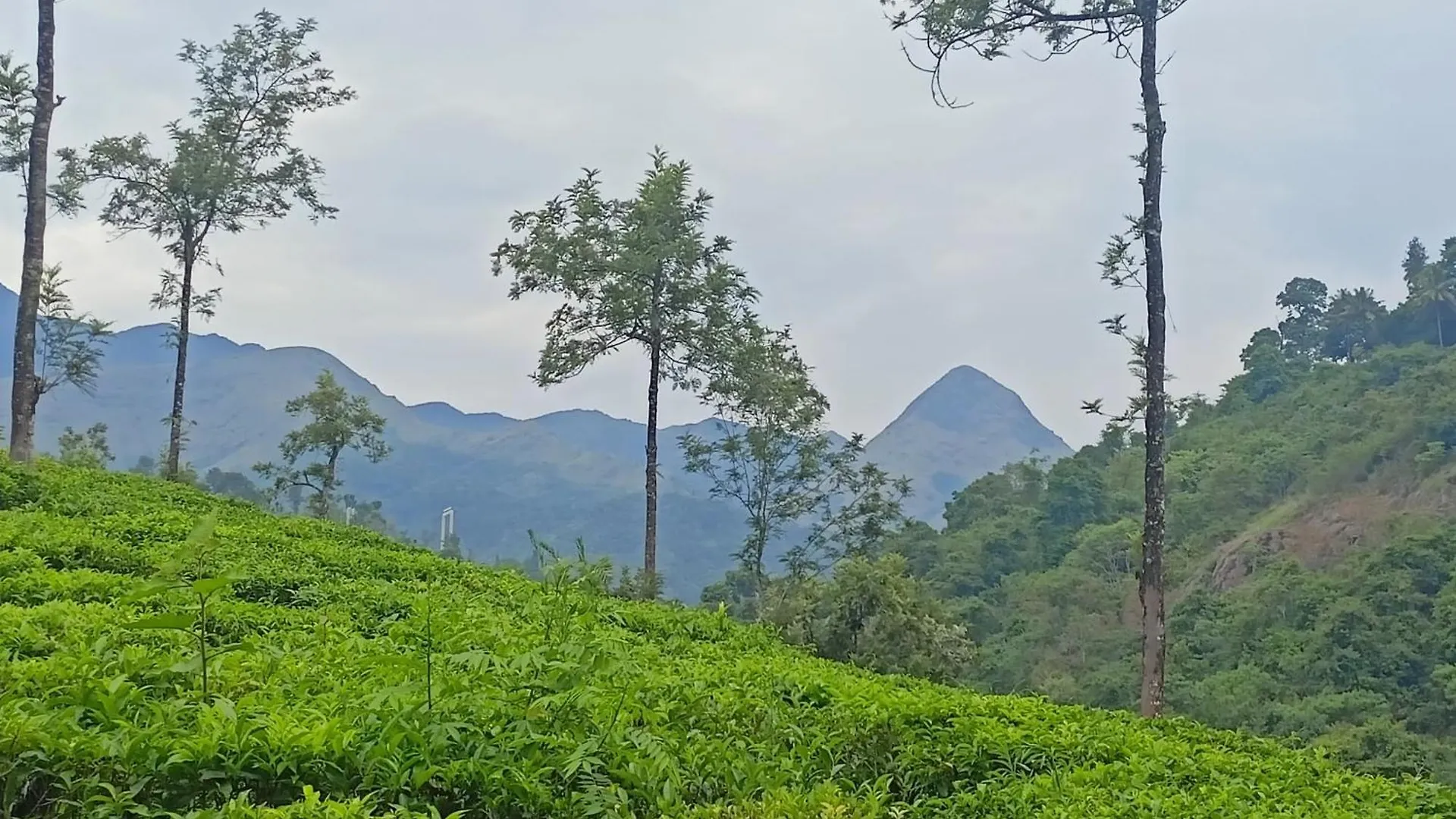 Meppādi Raga Nature הודו