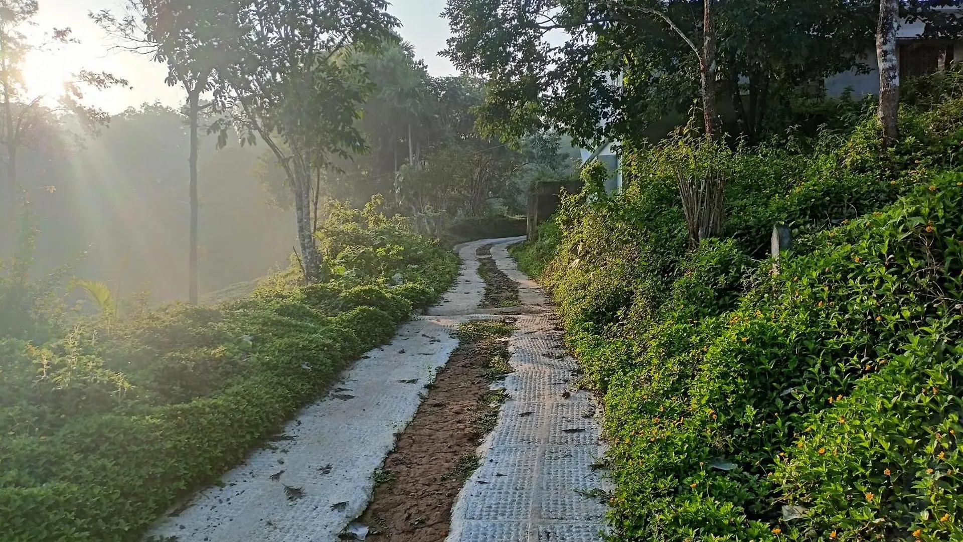 Villa Raga Nature Meppādi