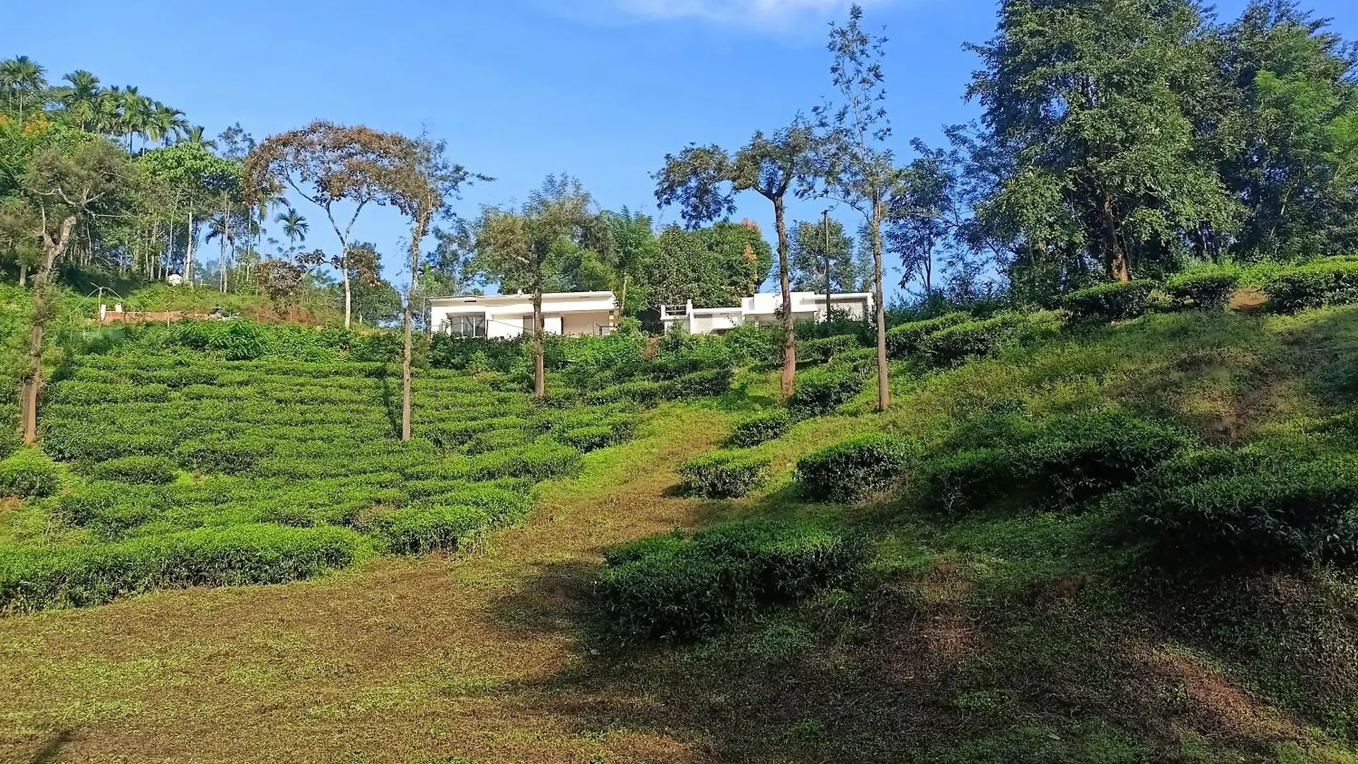 Raga Nature Meppādi 0*,  Hindistan